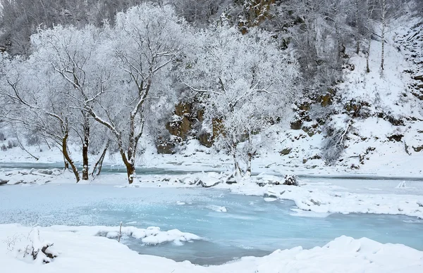 Winter landscape, Siberia — Stock Photo, Image