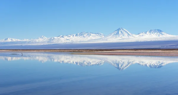 Lago solar en el desierto de Atacama — Foto de Stock