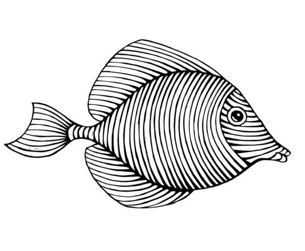 Vintage Dibujado Mano Línea Arte Peces Grabado Vector Ilustración — Vector de stock