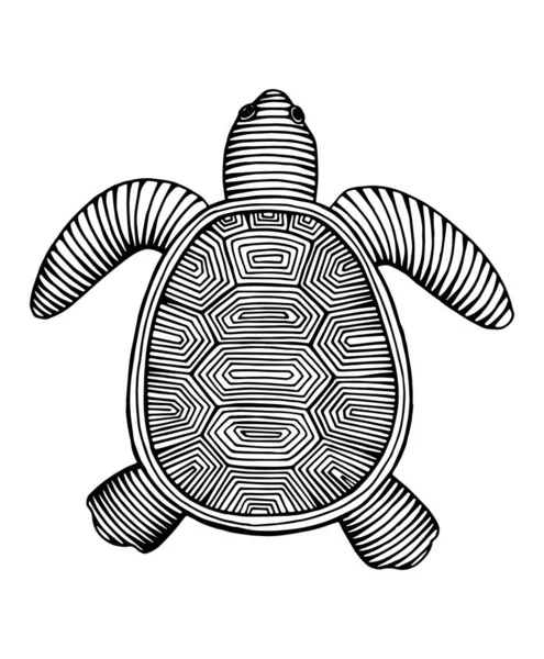 ヴィンテージ手描き線画亀の彫刻ベクトルイラスト — ストックベクタ