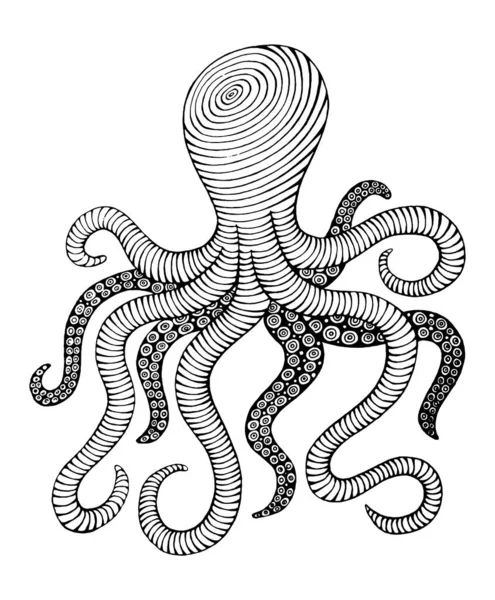 Gambar Gambar Tangan Vintage Garis Art Octopus Gambar Vektor Ilustrasi - Stok Vektor