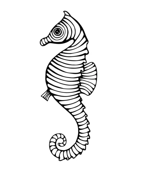 Gambar Gambar Tangan Vintage Garis Seni Seahorse Gambar Vektor Ilustrasi - Stok Vektor