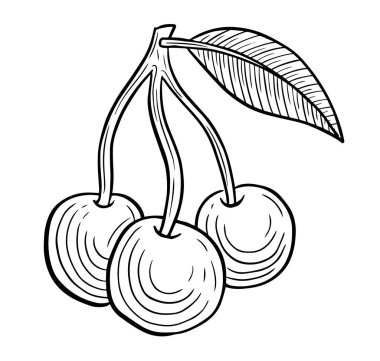 yaban mersinli el oymalı çizim vektör çizimi