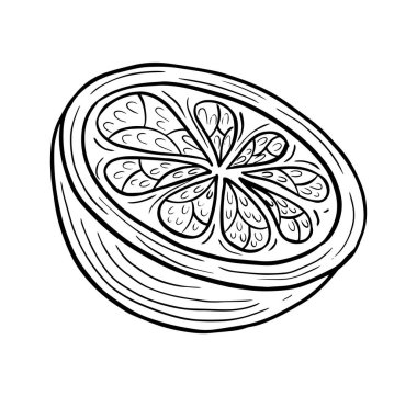 turuncu meyve dilimli el oymalı çizim vektör çizimi