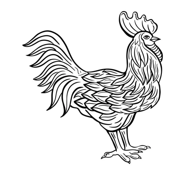 Rooster Hand Drawn Engraved Sketch Drawing Vector Illustration — Stock Vector