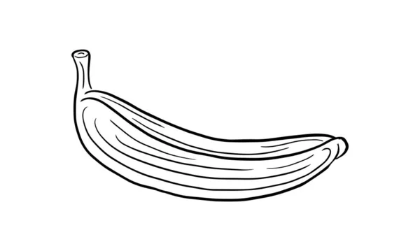 Banana Hand Drawn Engraved Sketch Drawing Vector Illustration — Stock Vector