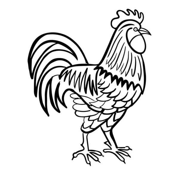 Rooster Hand Drawn Engraved Sketch Drawing Vector Illustration — Stock Vector