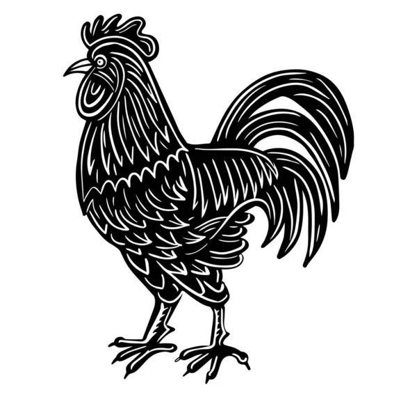 Gallo Dibujado Mano Boceto Grabado Dibujo Vector Ilustración — Vector de stock