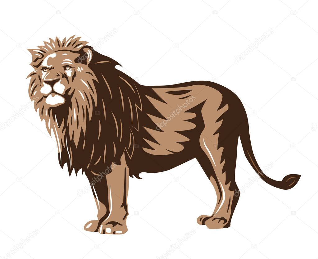 Wild lion standing isolated vector