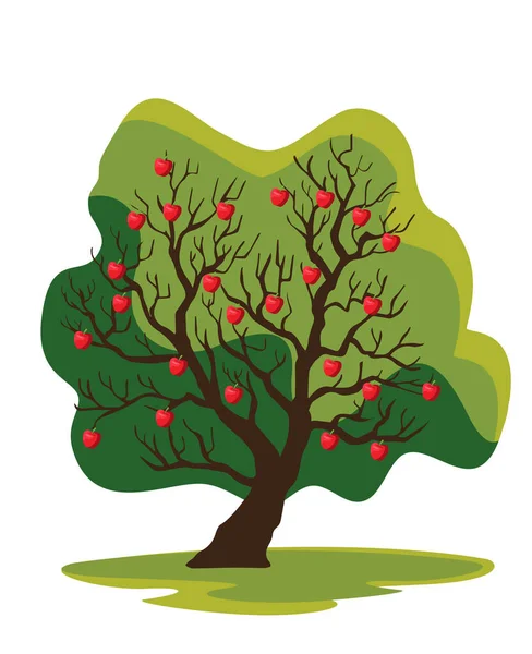 Kashmir Äpple Träd Isolerad Vektor Illustration — Stock vektor