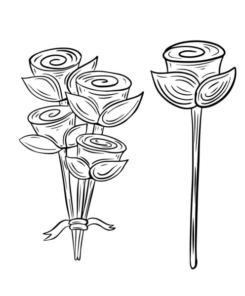 Ručně Kreslené Růže Vektor Květu Ilustrace — Stockový vektor