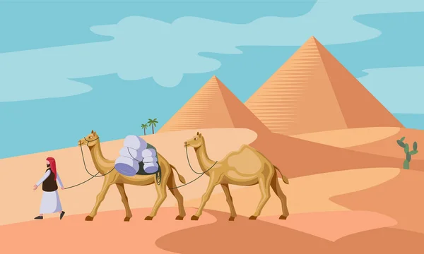 Muž Velbloudem Chůze Blízkosti Egyptské Pyramidy Vektorové Ilustrace — Stockový vektor