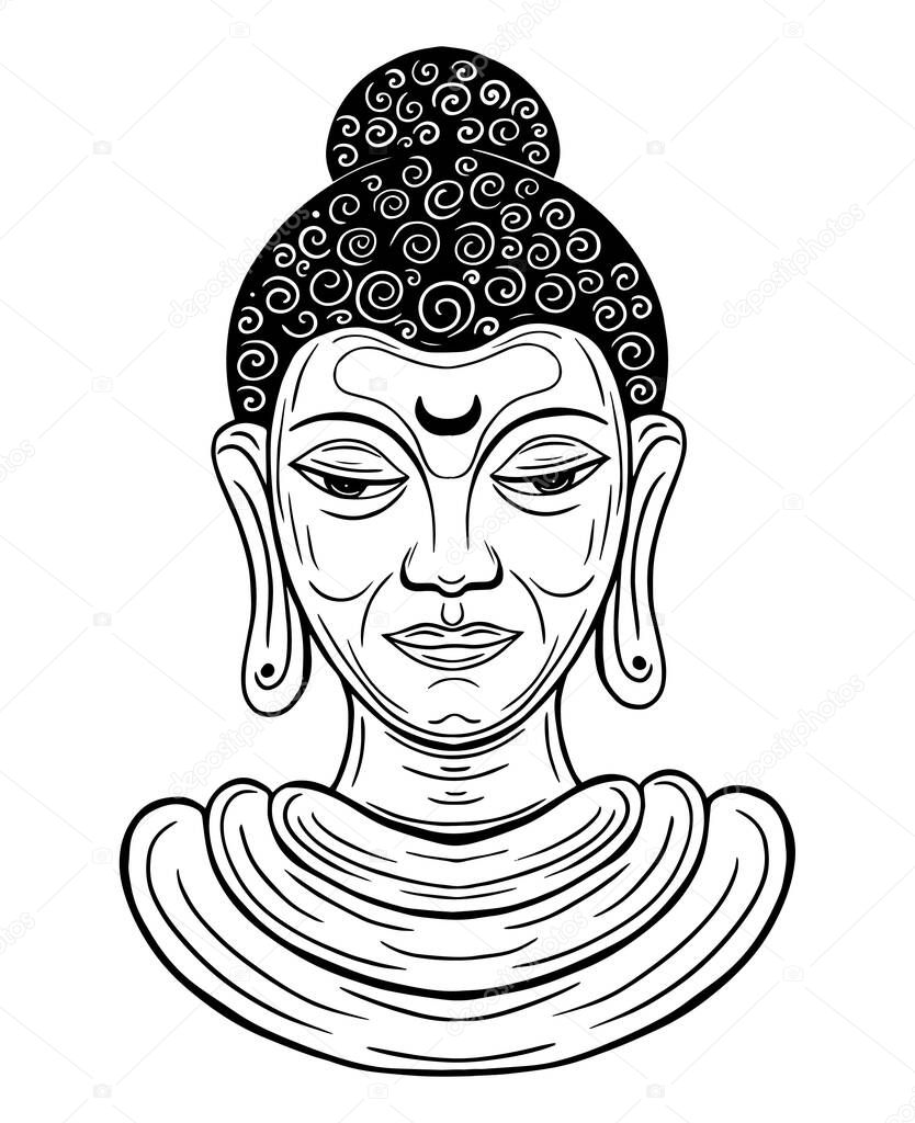 buddha close up face hand drawn vector illustration