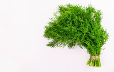 Beyaz arka planda bir sürü taze dereotu. Düz lei. Boşluğu kopyala