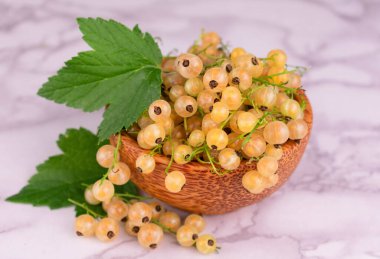 Beyaz arka planda bir kasede üzümlü üzümler. Yakın plan..