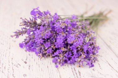 Beyaz ahşap arka plana karşı narin lavanta çiçekleri..
