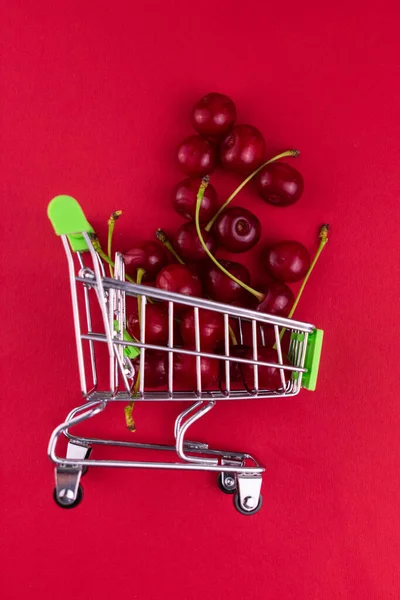 Cesta Pequena Com Cerejas Maduras Fundo Vermelho Eco Conceito Compras — Fotografia de Stock