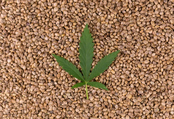 Cannabis Leaf Background Hemp Seeds Flat Lei — Stock Photo, Image