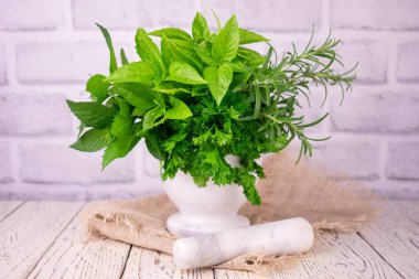 Baharatlı otlar fesleğen, nane, maydanoz, biberiye masada..