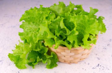 Beyaz tabakta taze yeşil salata. Boşluğu kopyala.