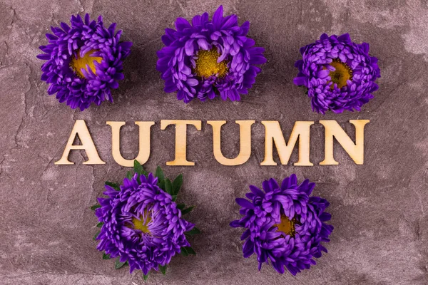 秋天的题词和秋天的花落在灰色的花朵背景上 — 图库照片
