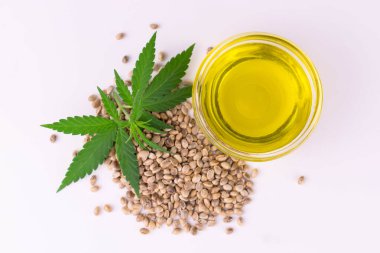 Beyaz arka planda kenevir yağı ve kenevir tohumu. Sağlıklı kenevir yağı. Düz lei.