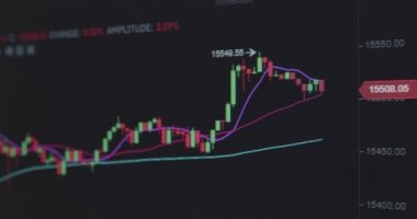 Ticaret çizelgesi. Kripto para birimlerinin değerindeki değişikliklerin grafiği. Zaman Uygulaması