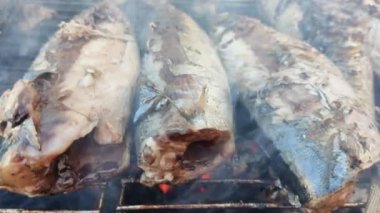 Uskumru kömürü pişirme. Barbekü balığı, kapat.