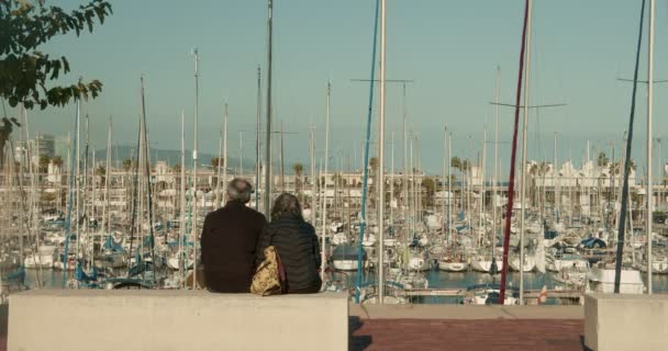 Rentnerpaar sitzt auf einer Bank im Hafen und betrachtet die Yachten — Stockvideo