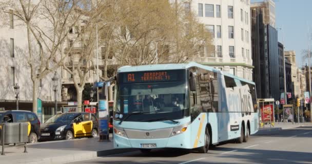 Busshållplats AeroBus på torget Catalunya. — Stockvideo