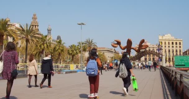 Pasaje de Colón. Paseo de Colón en Barcelona. — Vídeo de stock