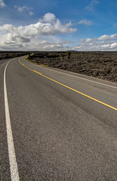 Landscape bushes grass volcanic soil Big Island. — Stock Photo, Image