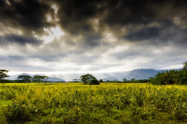 Kauai Mountains on the tropical paradise island of Kauai, Hawaii — Stock Photo, Image