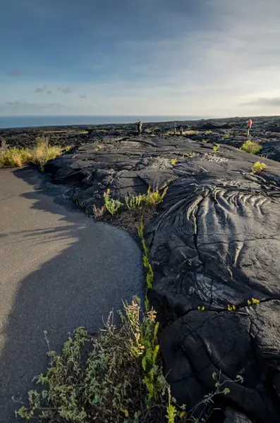 Arbustes paysagers herbe sol volcanique Grande île . — Photo