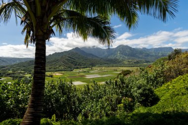 Kauai dağlar Kauai, Hawaii tropik cennet Adası