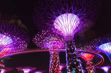 Singapur - 15 Ocak: Gece görünümü Supertree Grove Gardens