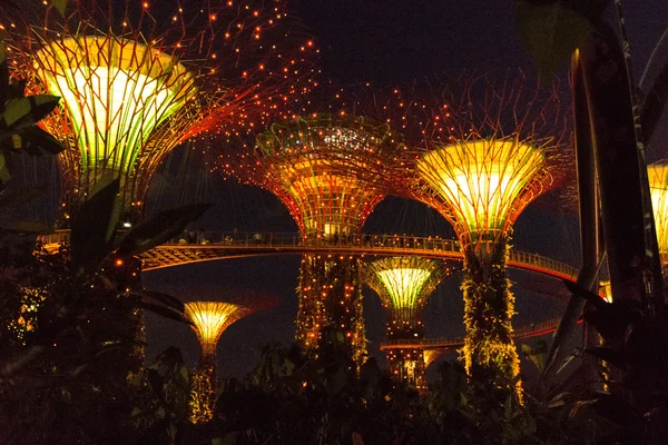 SINGAPOUR - 15 JANVIER : Vue de nuit de Supertree Grove at Gardens — Photo