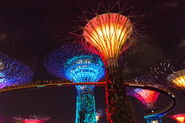 Singapur – 15. ledna: Noční pohled z Supertree Háj u zahrady — Stock fotografie