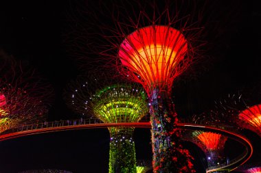 Singapur - 15 Ocak: Gece görünümü Supertree Grove Gardens
