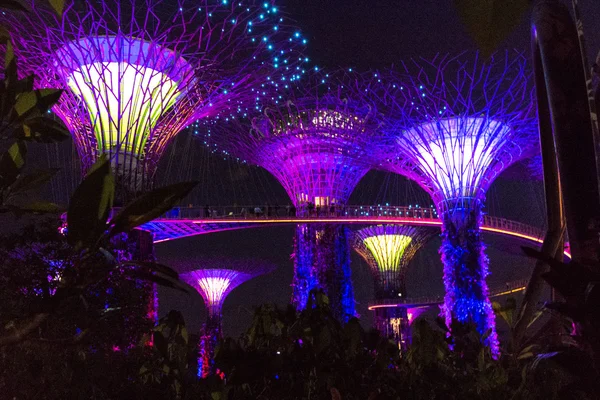 SINGAPOUR - 15 JANVIER : Vue de nuit de Supertree Grove at Gardens — Photo