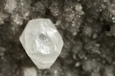 Singapur büyüyen beyaz gri kristal