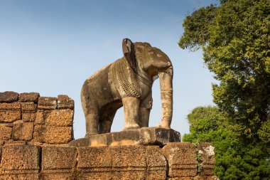 Fil Angkor Wat Tapınağı, Siem Reap, Kamboçya