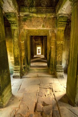 Gizemli Preah Khan Tapınağı Angkor, Siem Reap, Kamboçya.