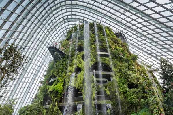 SINGAPORE - 15 GENNAIO: Vista notturna di Supertree Grove ai Giardini — Foto Stock