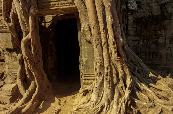 Ta Som Angkor Wat templet, Siem Reap, Kambodja — Stockfoto