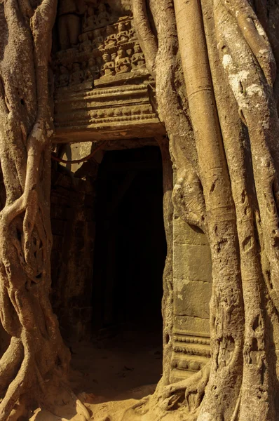 Ta Som Angkor Wat chrám, Siem Reap, Kambodža — Stock fotografie