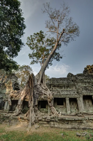 Gizemli Preah Khan Tapınağı Angkor, Siem Reap, Kamboçya. — Stok fotoğraf