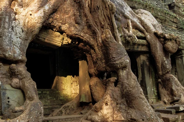 Mysterious Preah Khan temple in Angkor, Siem Reap, Cambodia. — Stock Photo, Image