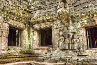 Angkor Prohm Khmer orman orman antik Budist tapınağı. Ünlü