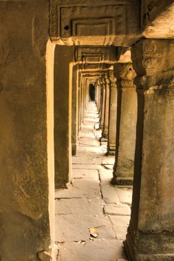 Angkor Prohm Khmer orman orman antik Budist tapınağı. Ünlü